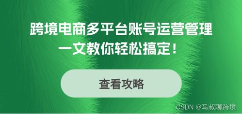 跨境电商多平台账号运营管理,maskfog轻松搞定